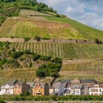 Weinbaugebiet Rheingau