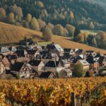 Weinbaugebiet Elsass