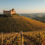 Weinbaugebiet Navarra