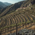 Weinbaugebiet Priorat
