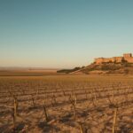 Weinbaugebiet Ribera del Duero