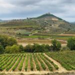 Weinbaugebiet Rioja