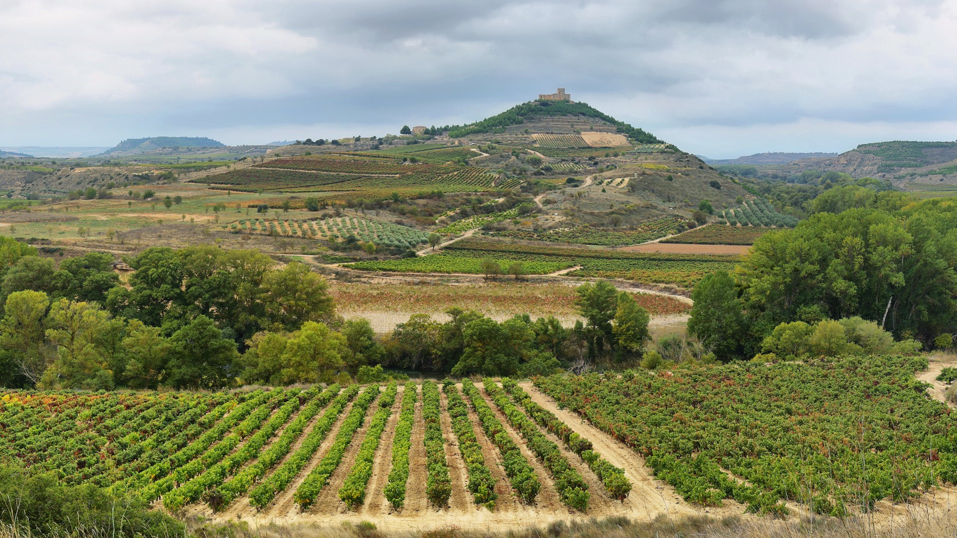 Weinbaugebiet Rioja