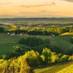 Weinbaugebiet Südsteiermark