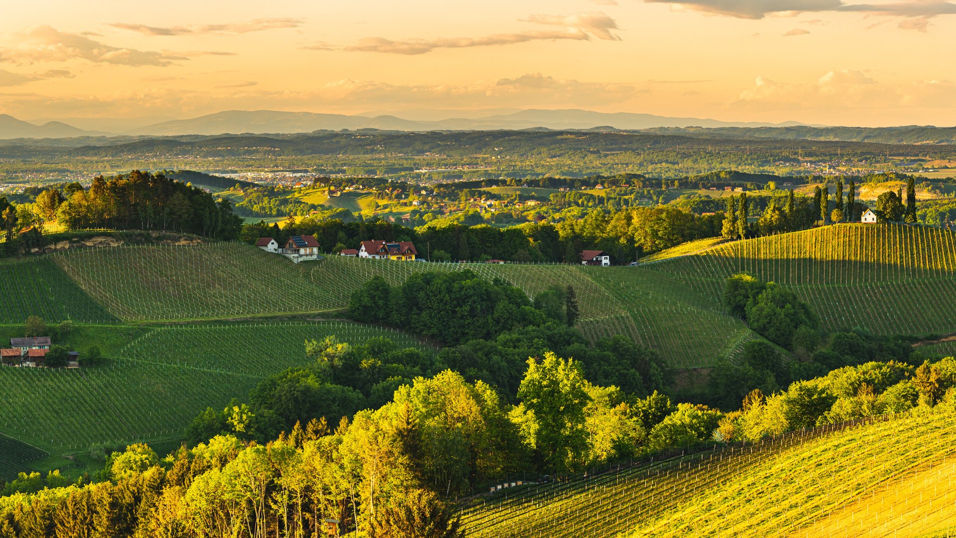 Weinbaugebiet Südsteiermark