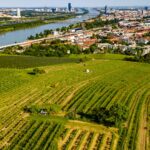 Weinbaugebiet Wien